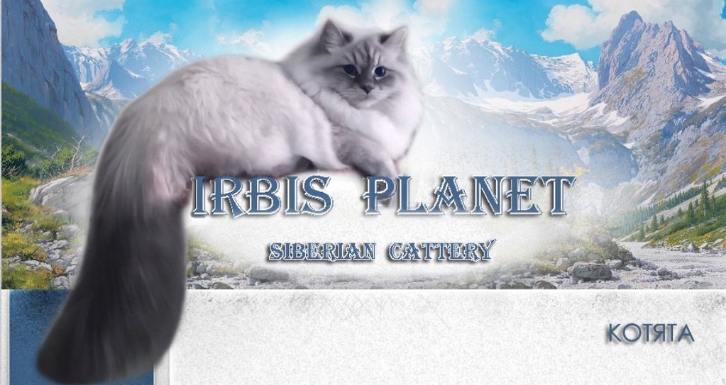 Питомник кошек - Планета Барсов (Irbis Planet) - Обложка