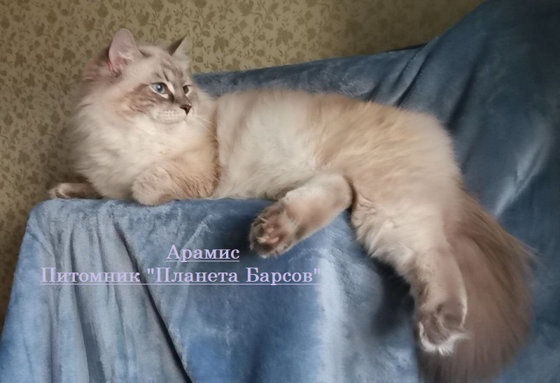 Вторая обложка