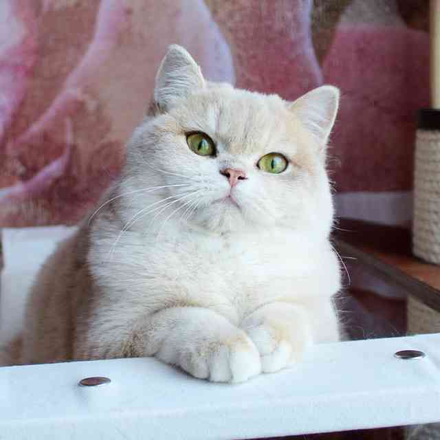 Монопородные питомники - LukeL - Фото 5