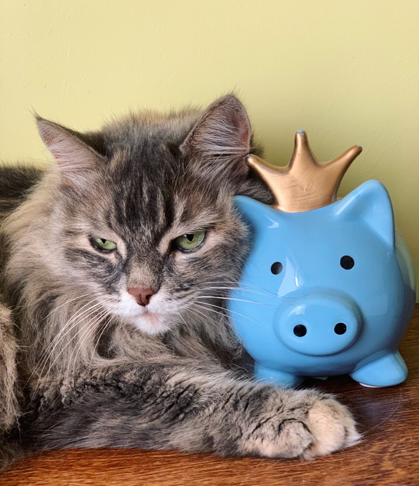 Зюзя - Имена для девочек - Клички для котов и кошек