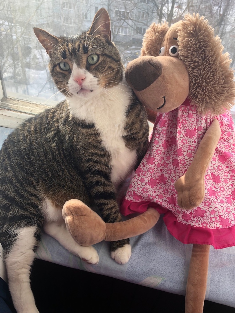 Кузя - Имена для мальчиков - Клички для котов и кошек