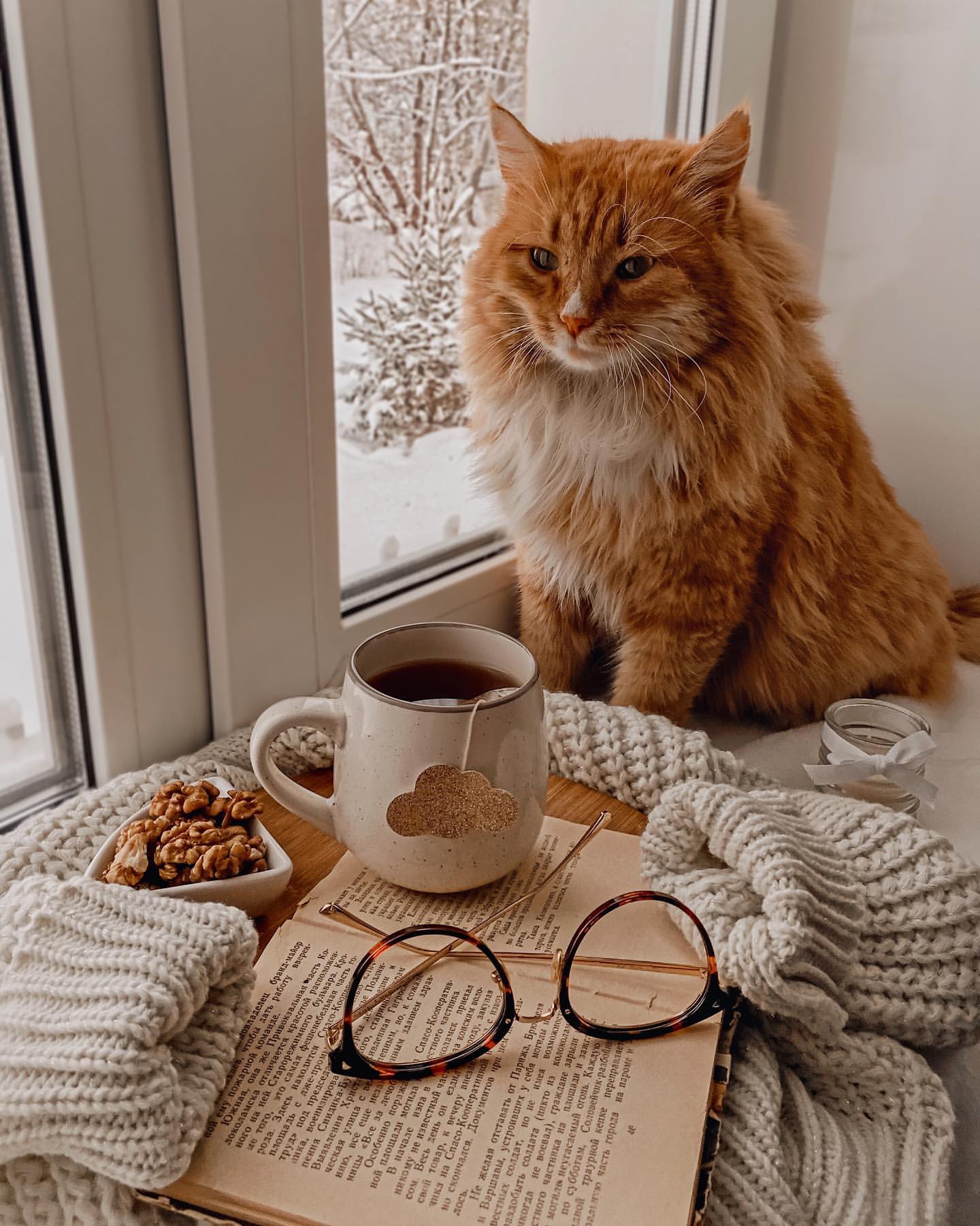 Лёпа - Имена для мальчиков - Клички для котов и кошек