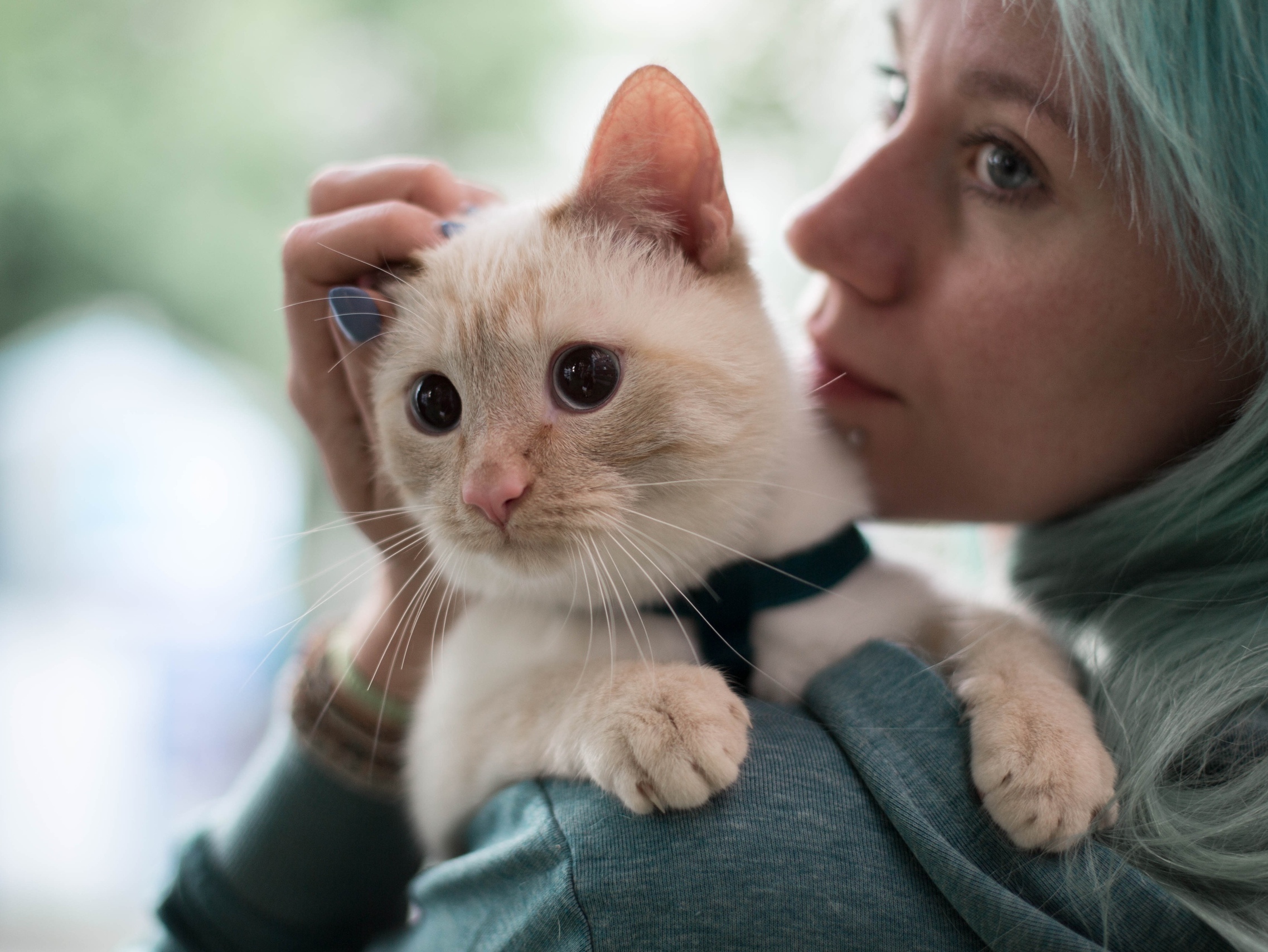 Бакс - Имена для мальчиков - Клички для котов и кошек