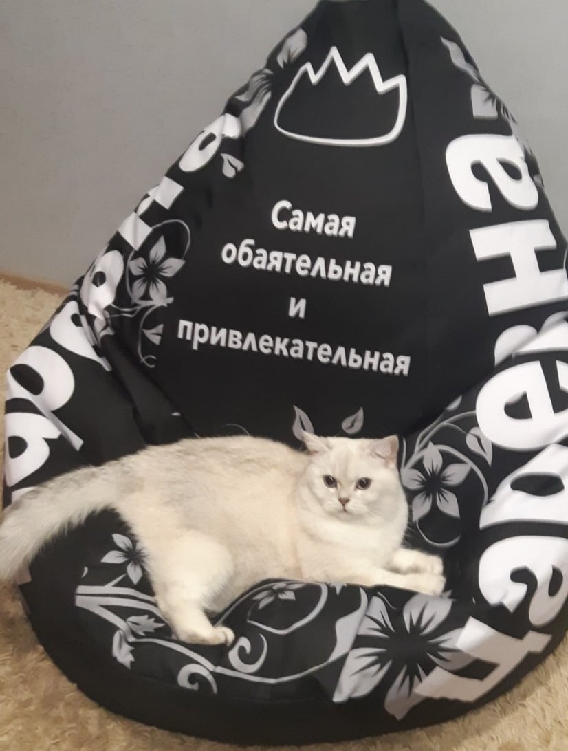 Дафна - Имена для девочек - Клички для котов и кошек