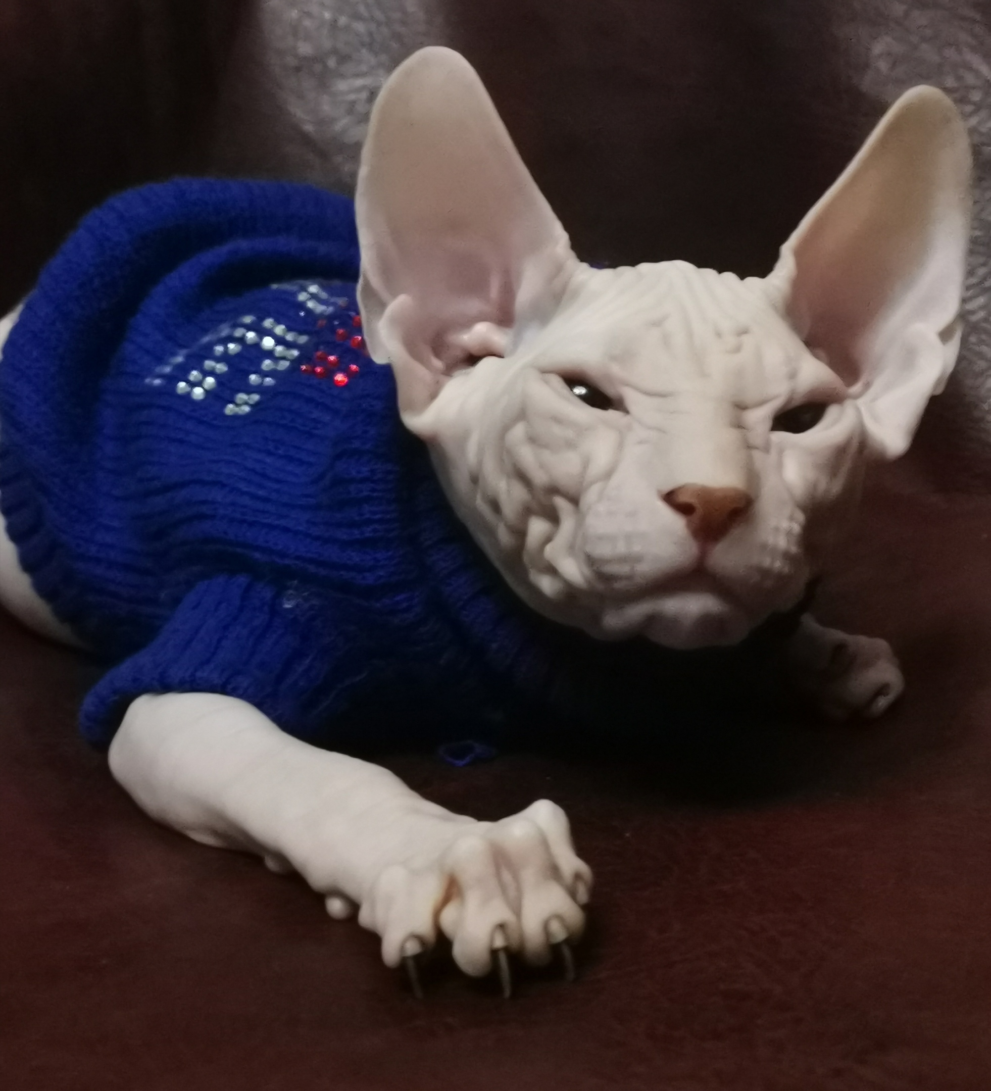 Никадим - Имена для мальчиков - Клички для котов и кошек