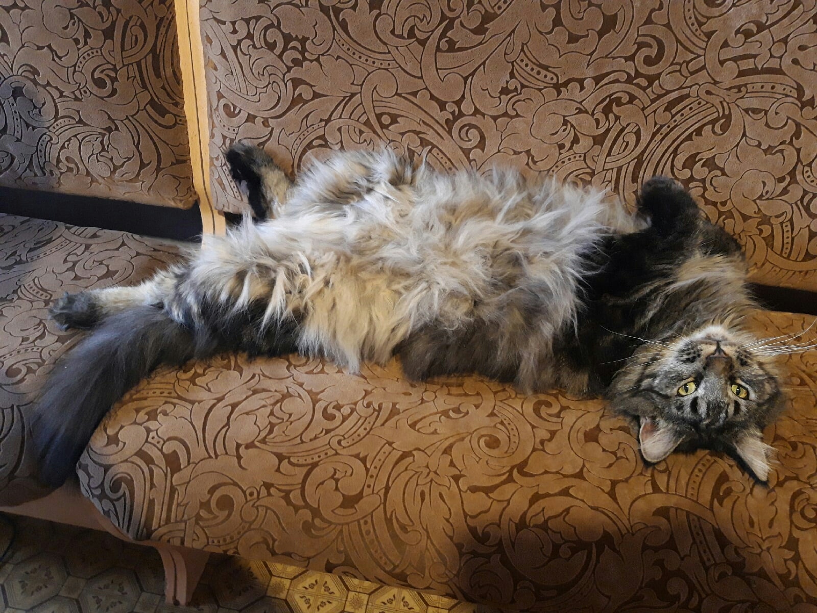 Добрыня - Имена для мальчиков - Клички для котов и кошек