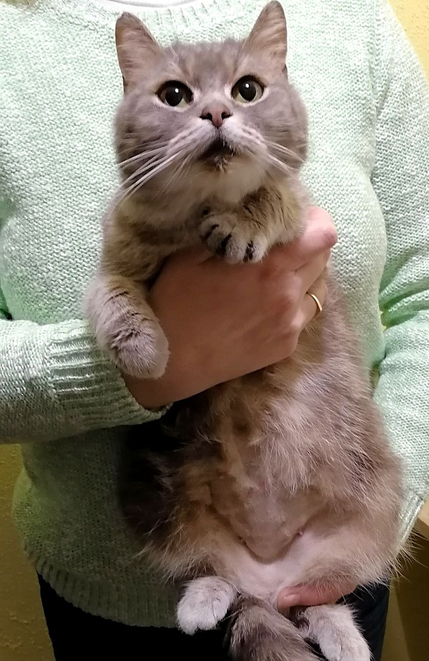 Мелания - Имена для девочек - Клички для котов и кошек