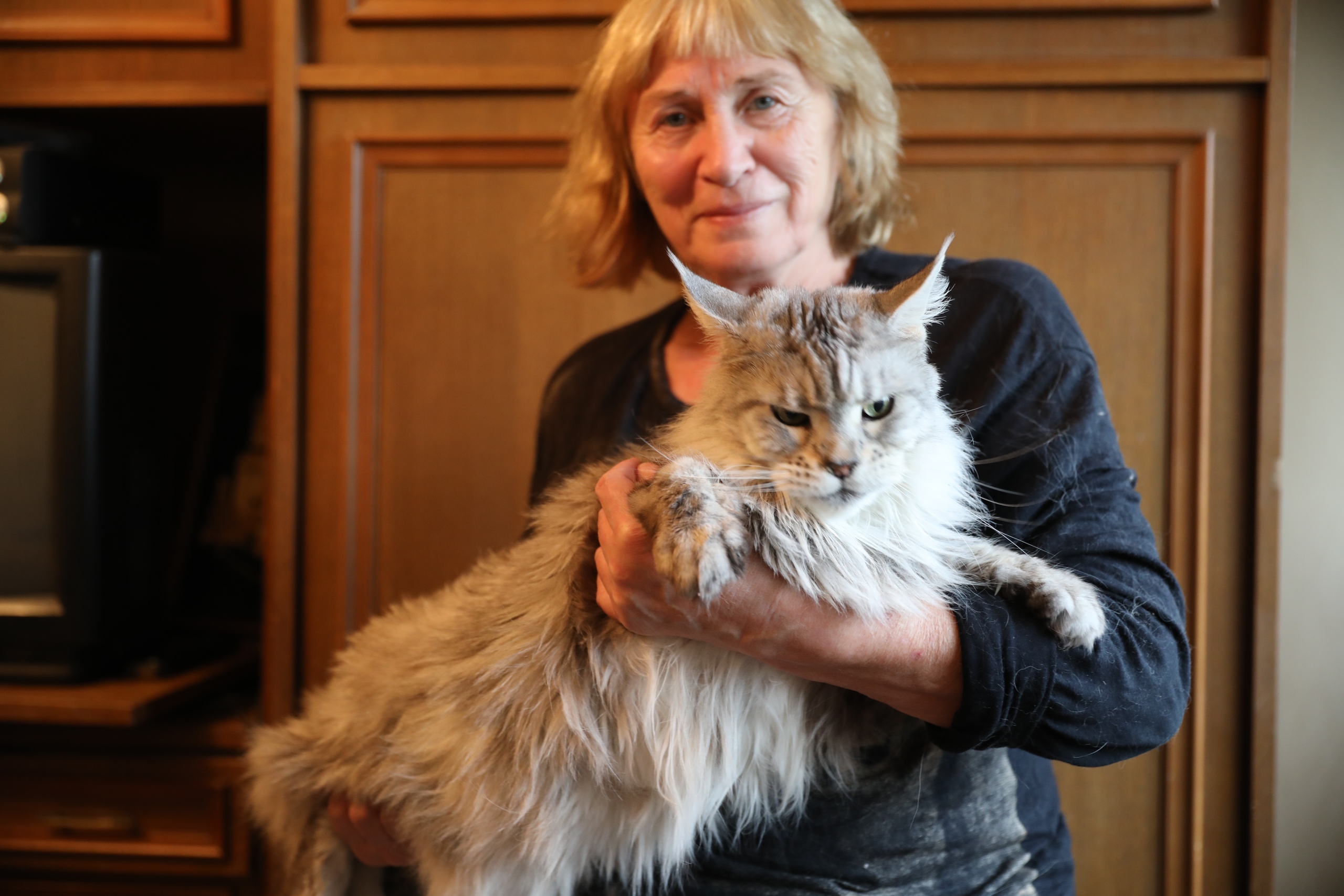 Фая - Имена для девочек - Клички для котов и кошек