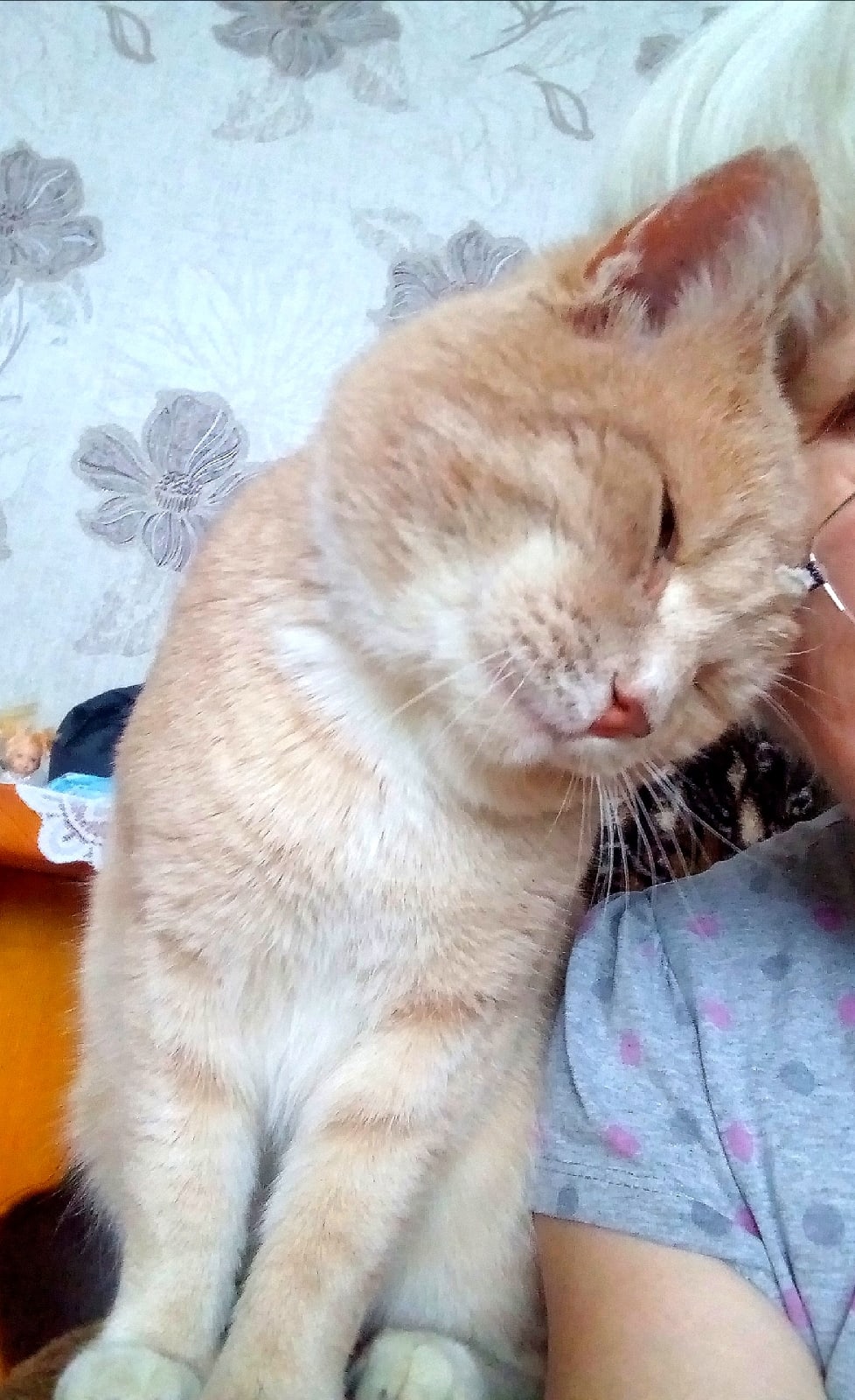 Перец - Имена для мальчиков - Клички для котов и кошек