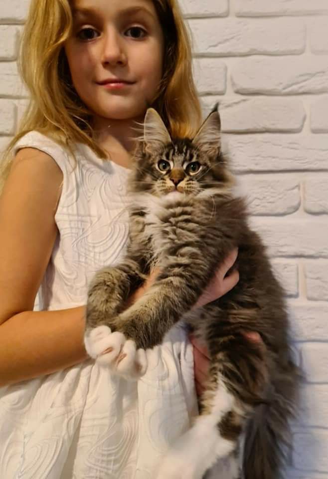 Петруша - Имена для мальчиков - Клички для котов и кошек