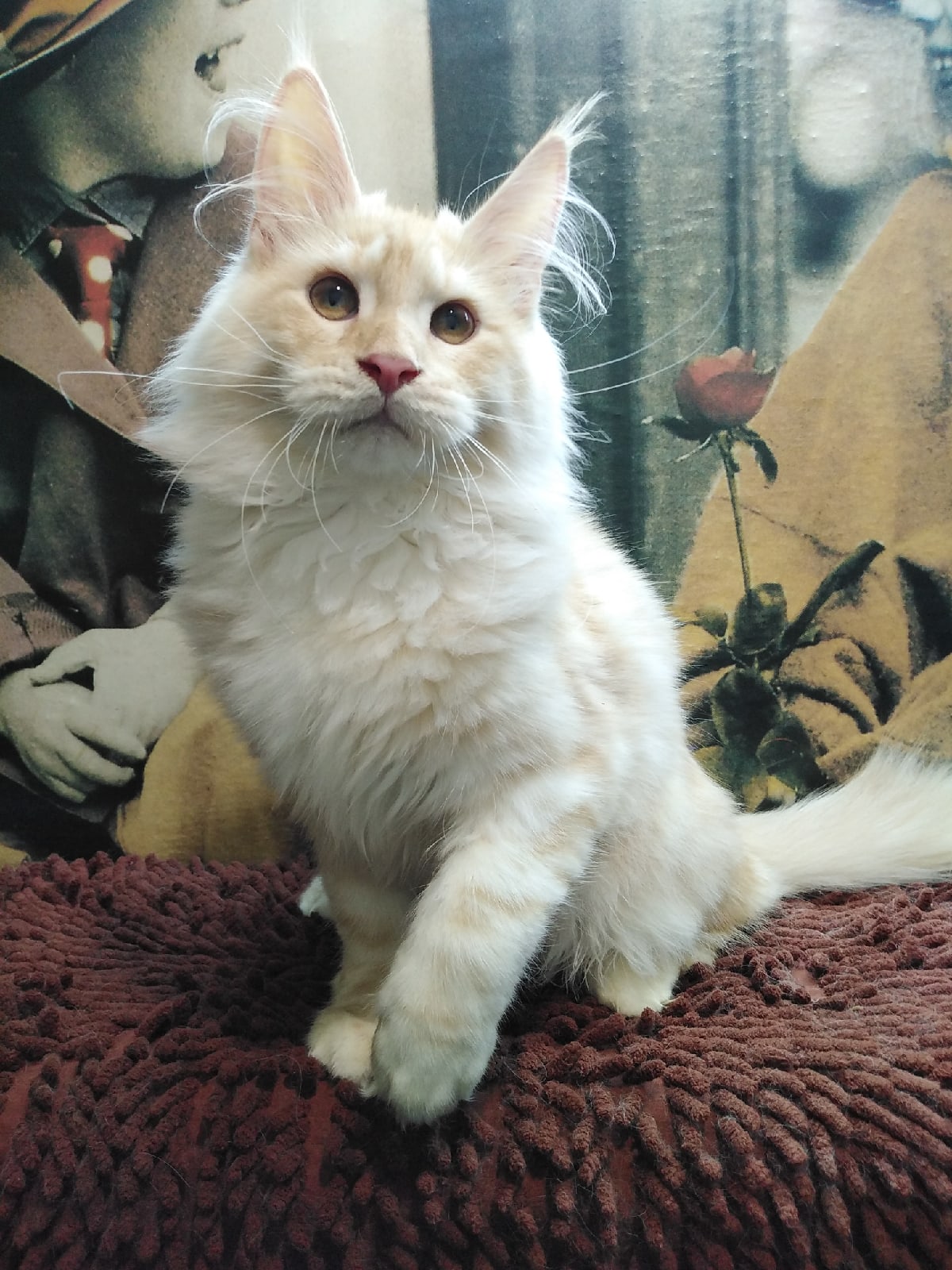 Лондон - Имена для мальчиков - Клички для котов и кошек