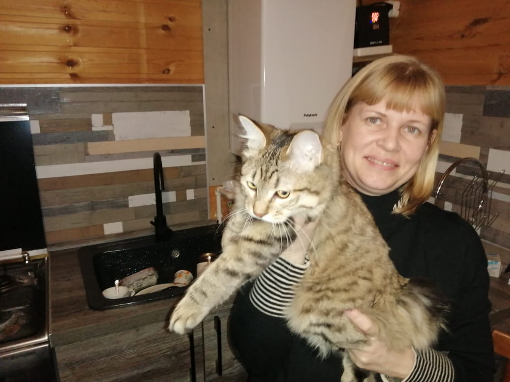 Фарт - Имена для мальчиков - Клички для котов и кошек