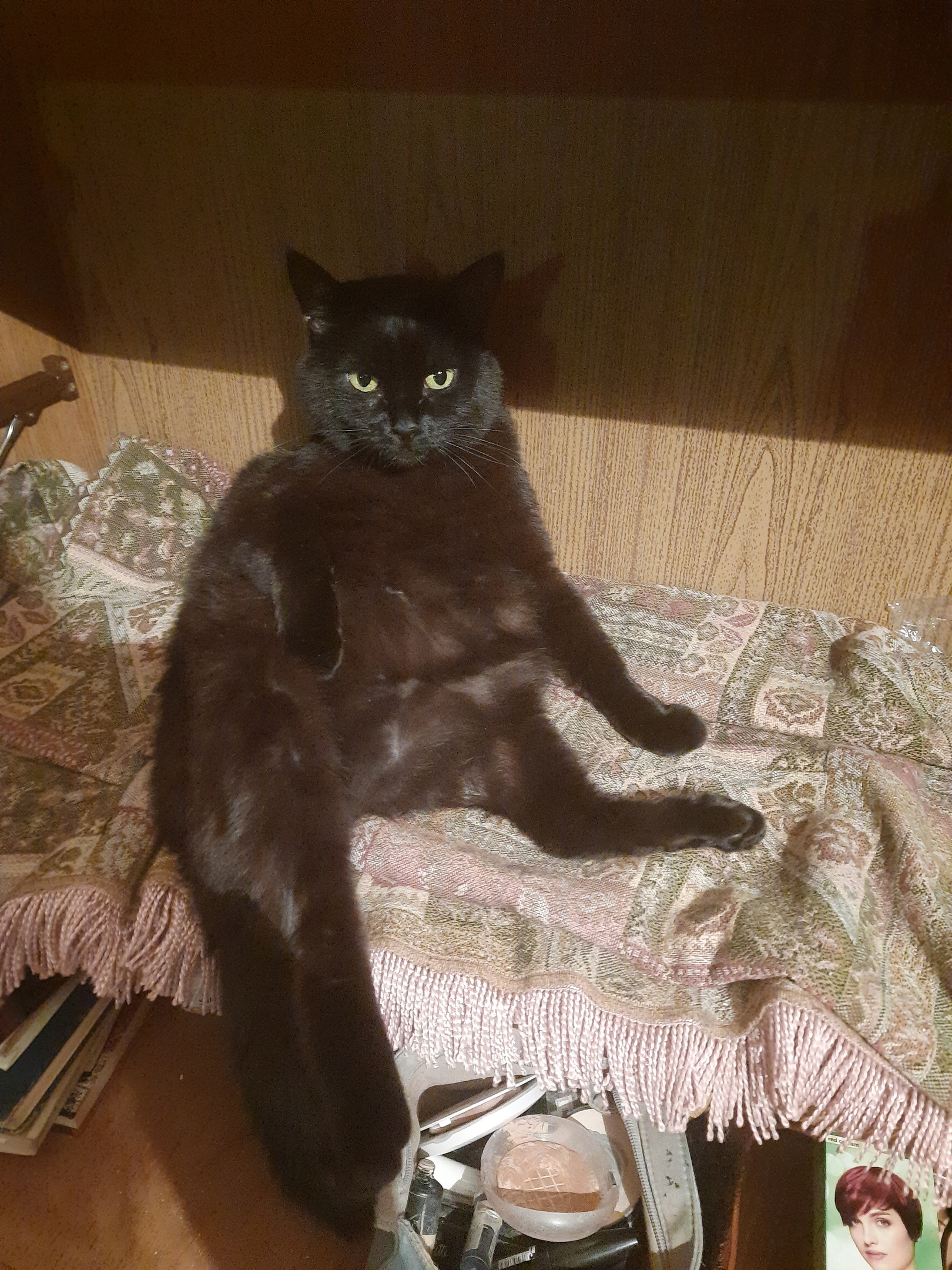 Нерисса - Имена для девочек - Клички для котов и кошек