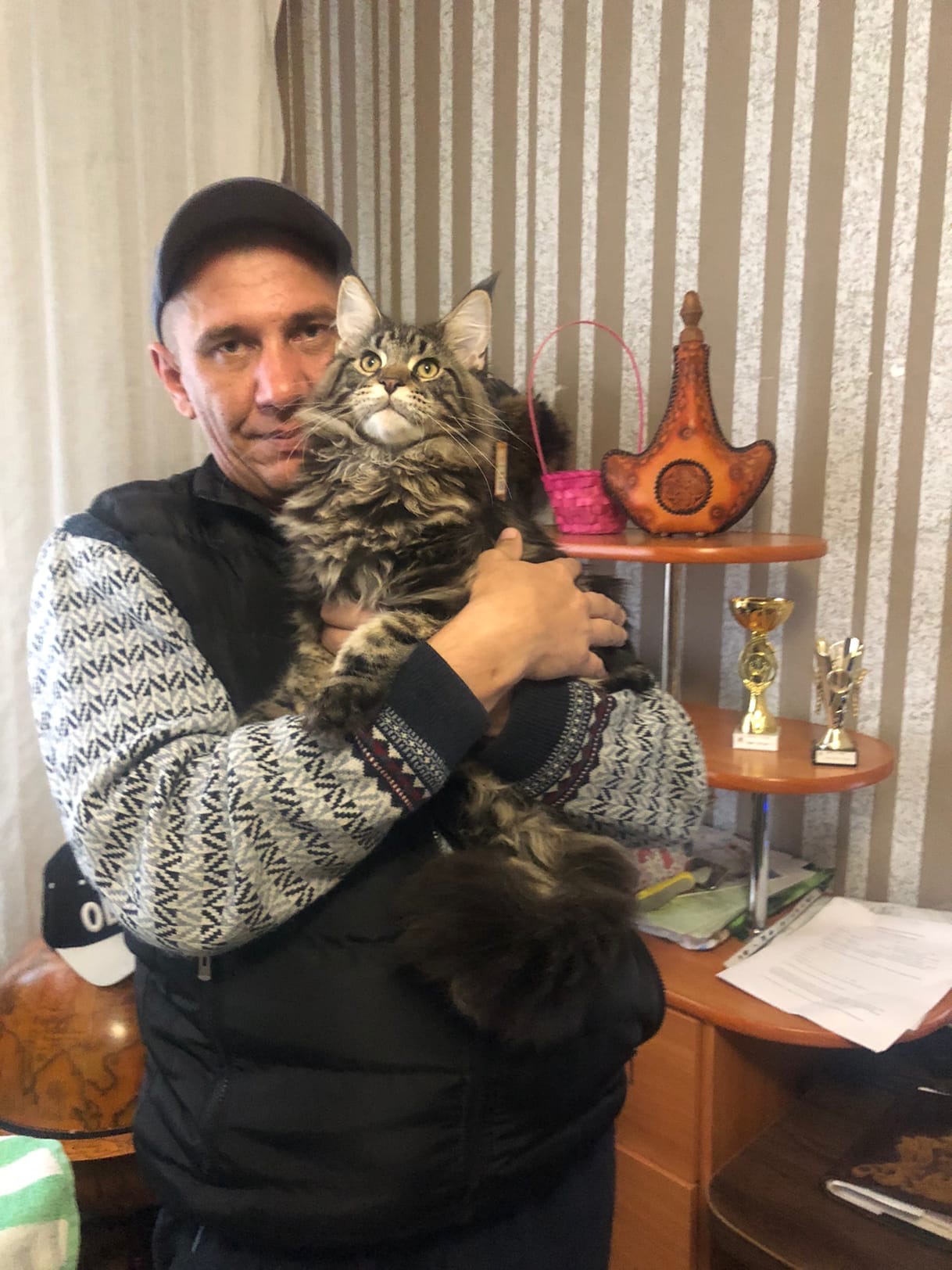 Зигмунд - Имена для мальчиков - Клички для котов и кошек