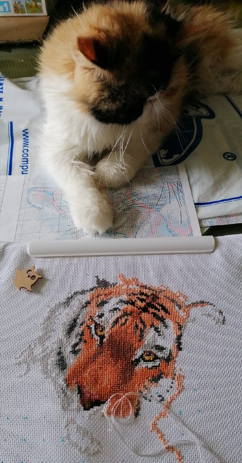 Тиффани - Имена для девочек - Клички для котов и кошек