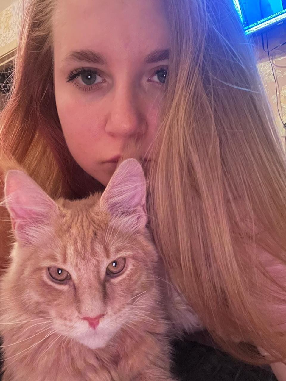 Артис - Имена для мальчиков - Клички для котов и кошек