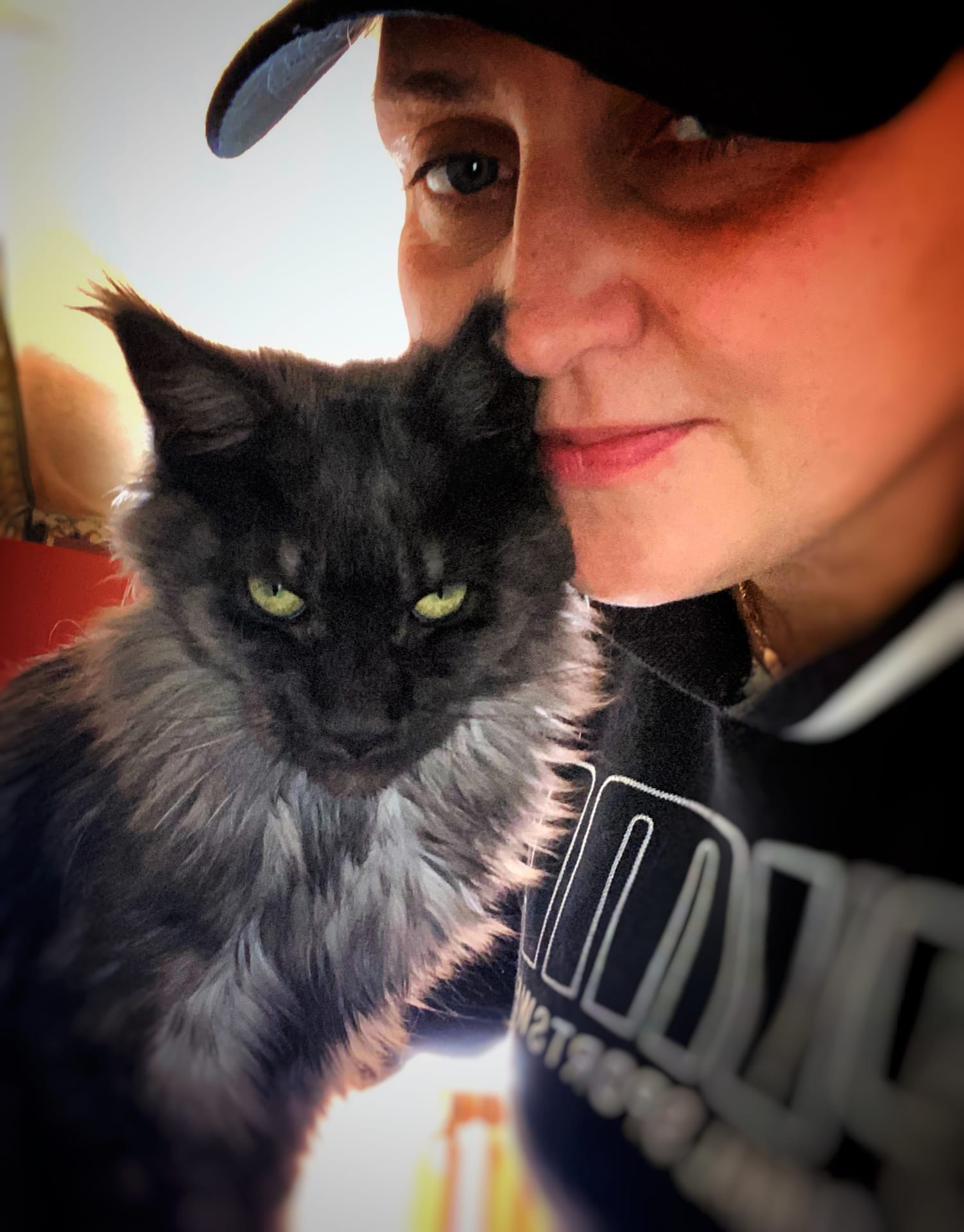 Варго - Имена для девочек - Клички для котов и кошек