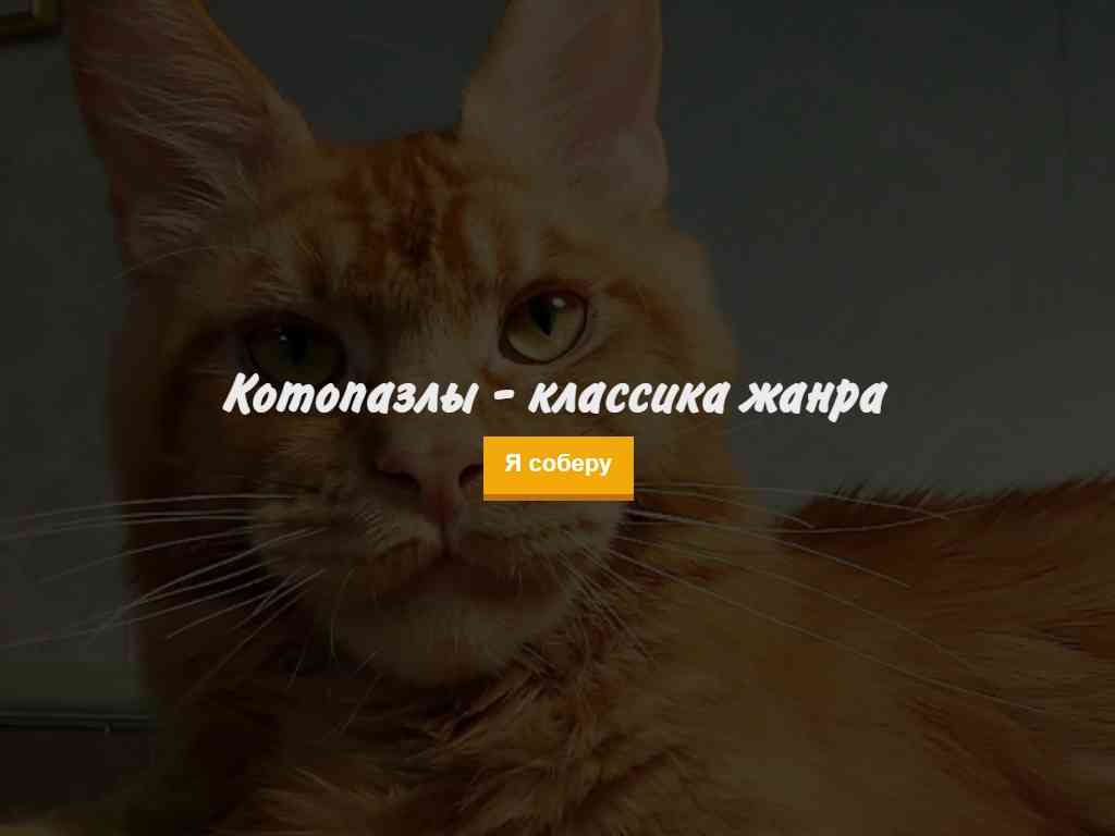 Котопазлы - онлайн игра головоломка - Игры про кошек