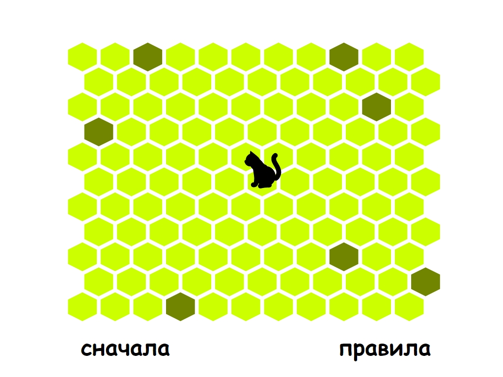 Поймай кошку - логическая онлайн игра Chat Noir - Игры про кошек