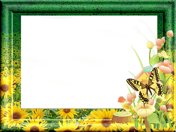 Лето в полях