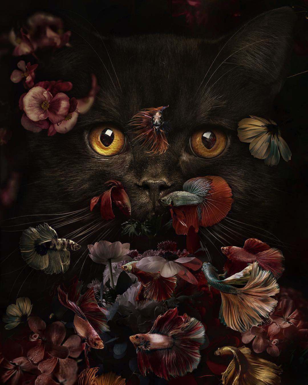 Кот в цветах и рыбках