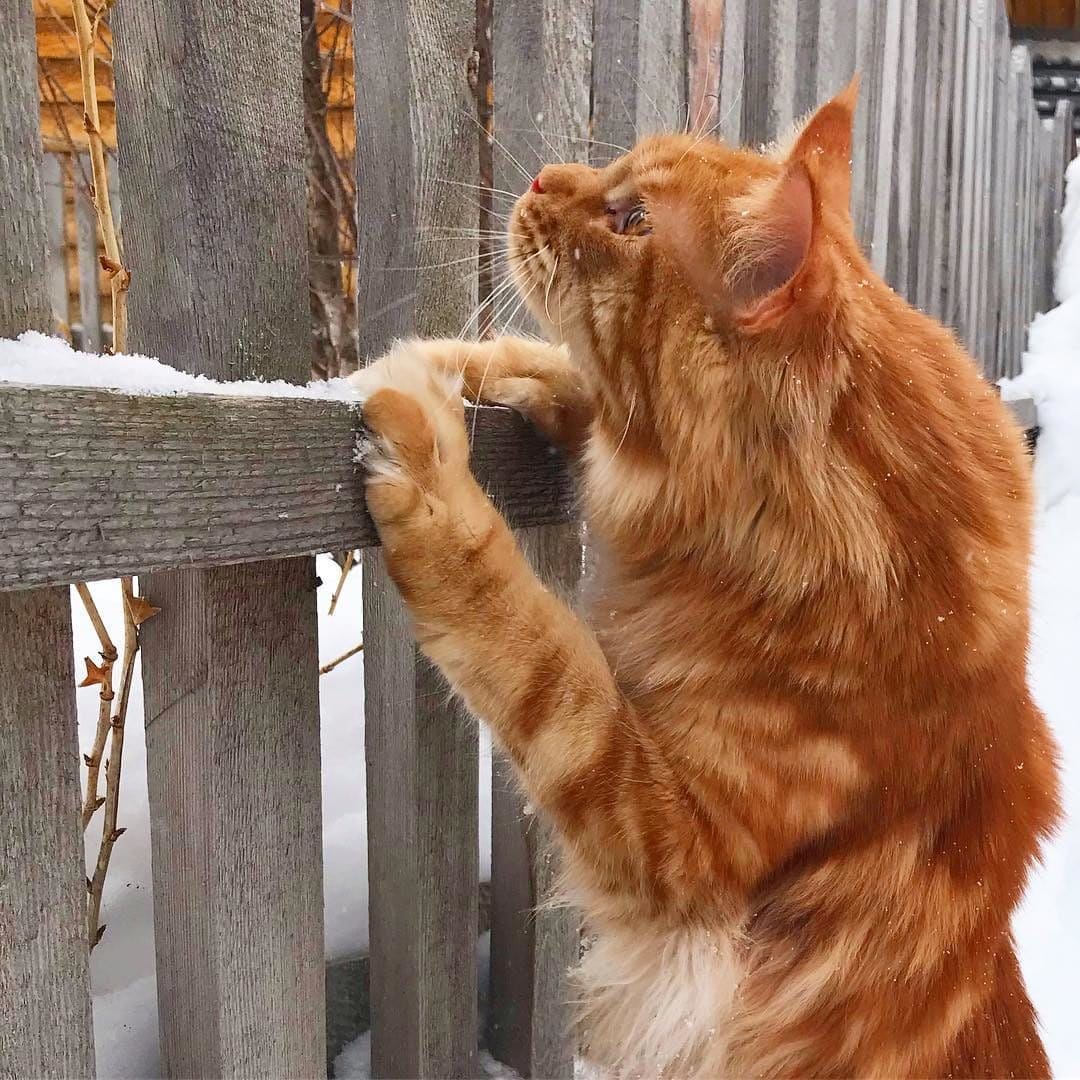 Ну-ка что там у соседей