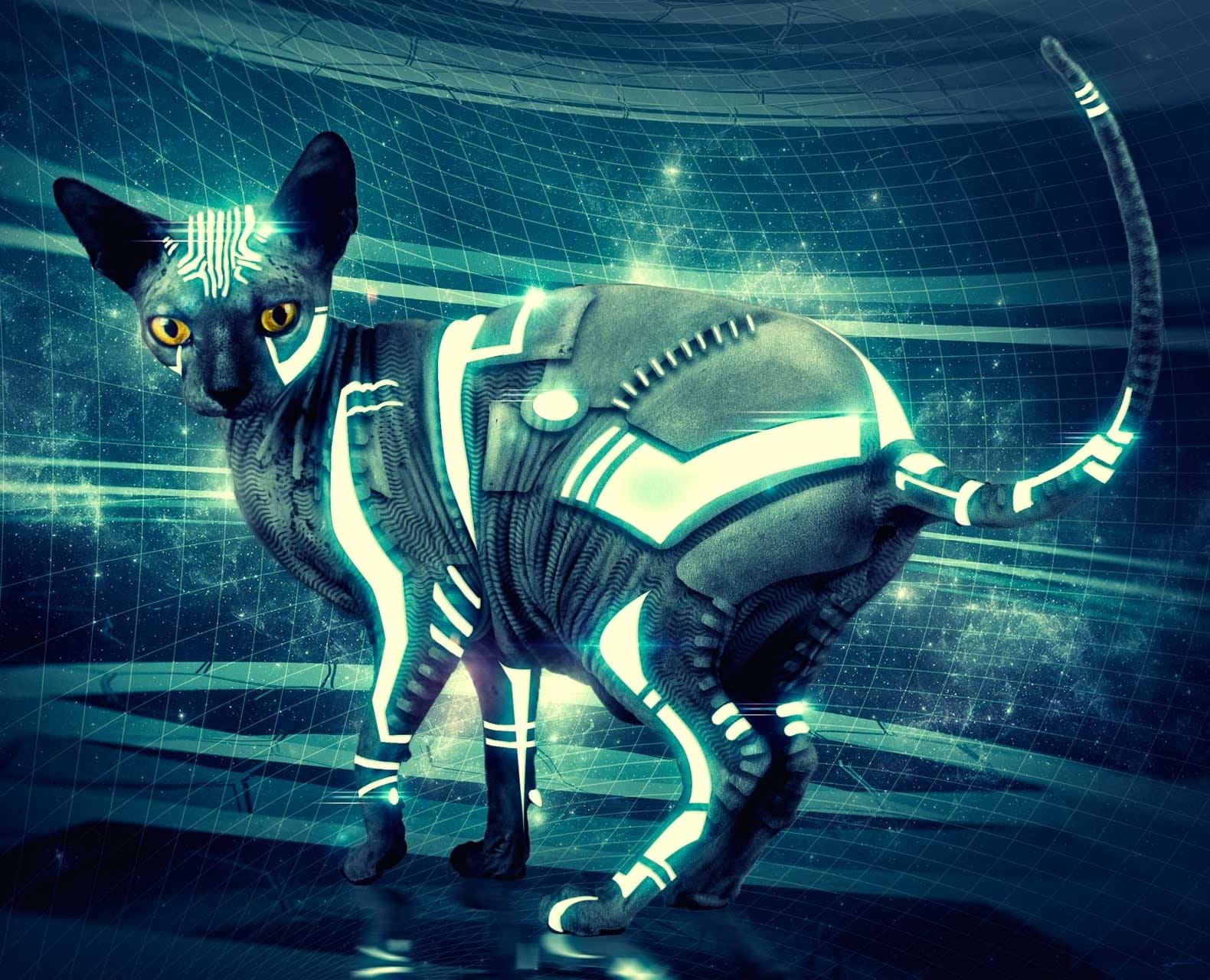 Металлическая кошка