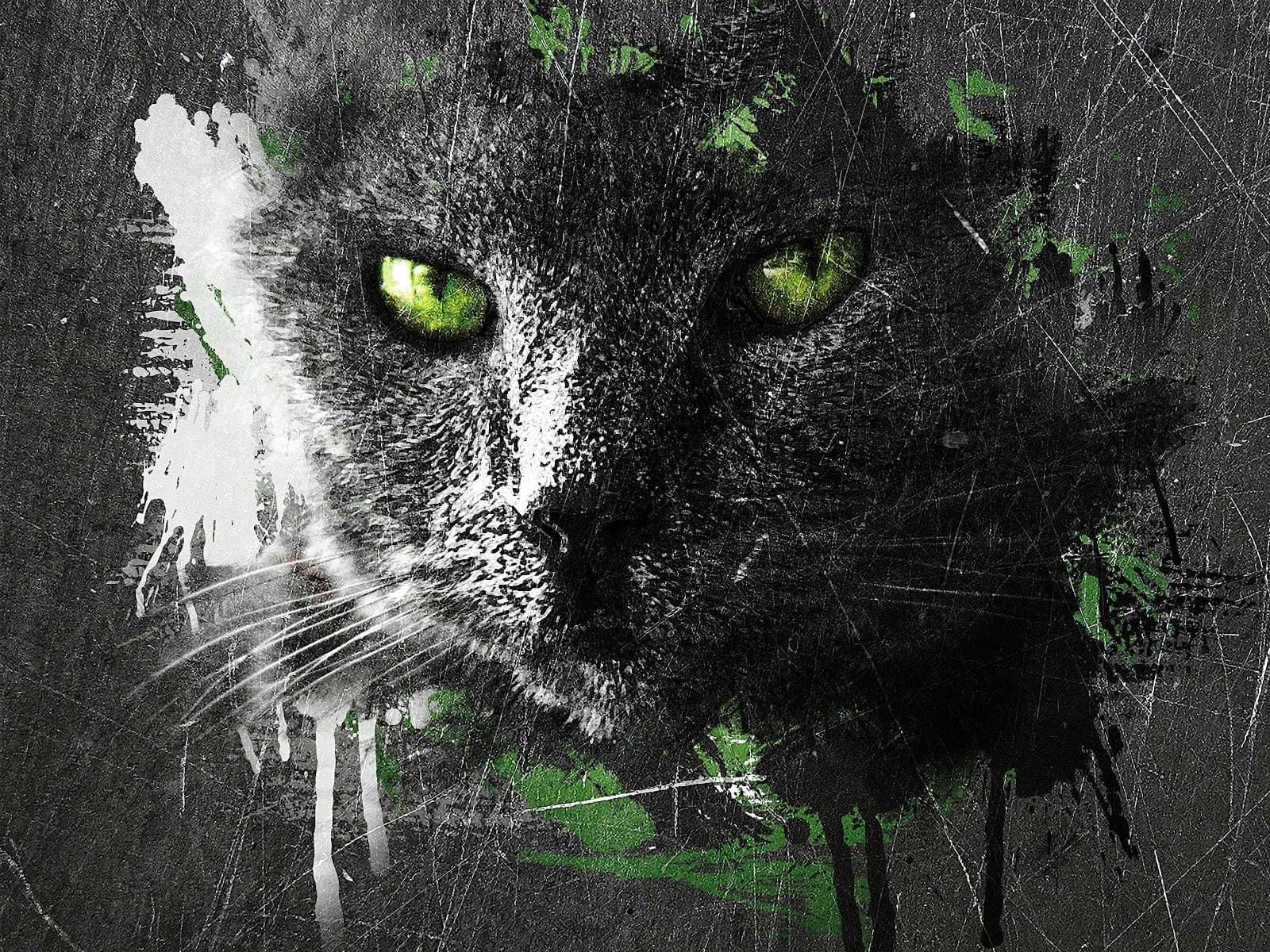 Зеленоглазая дымчатая морда