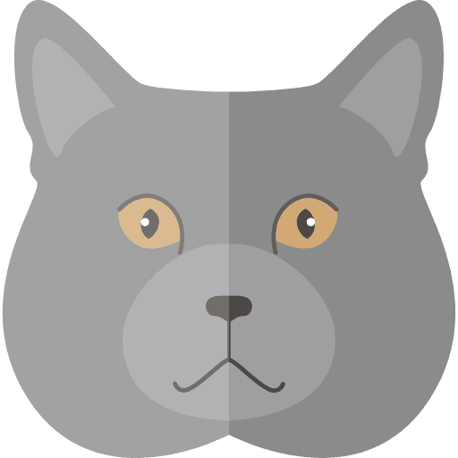 Аватарка дымчатого кота