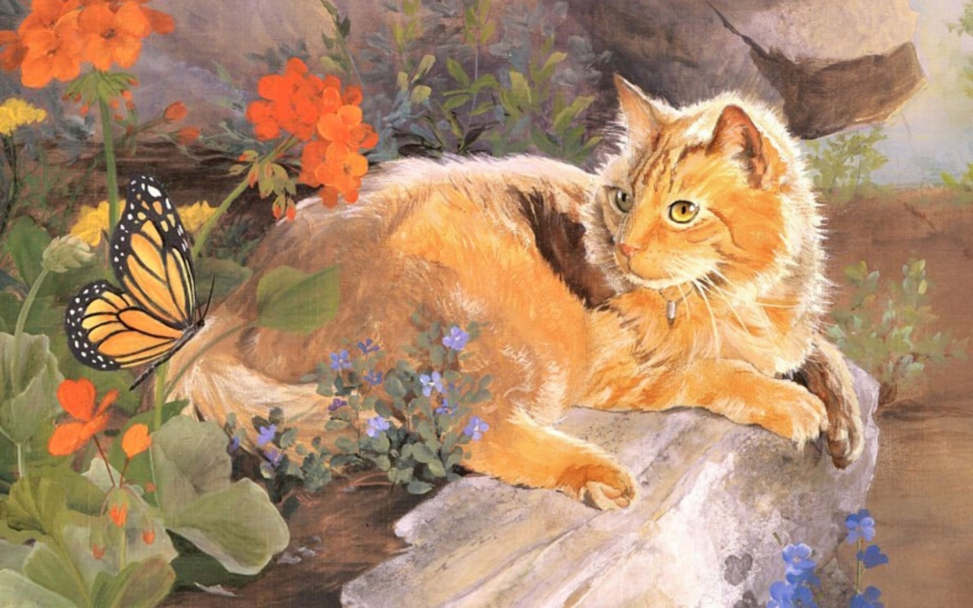 Кошка отдыхает на камне