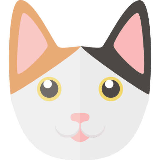 Цветная серая кошечка