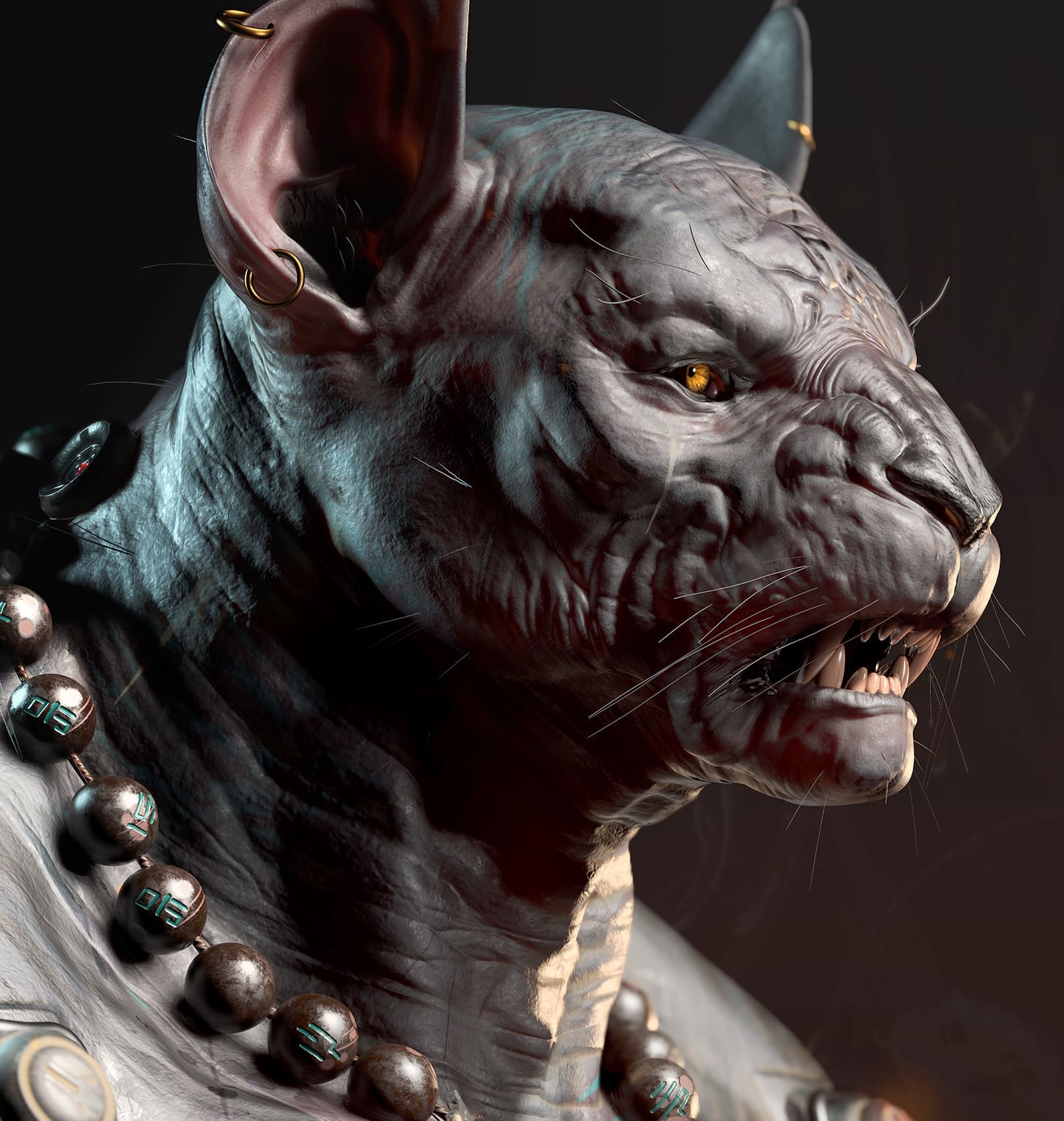 Кот гладкоморд