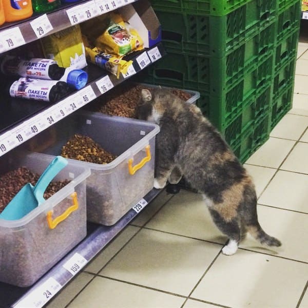 Проверка товара на качество