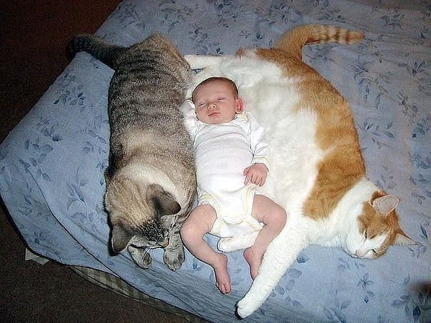 Пушистое гнездо для малыша