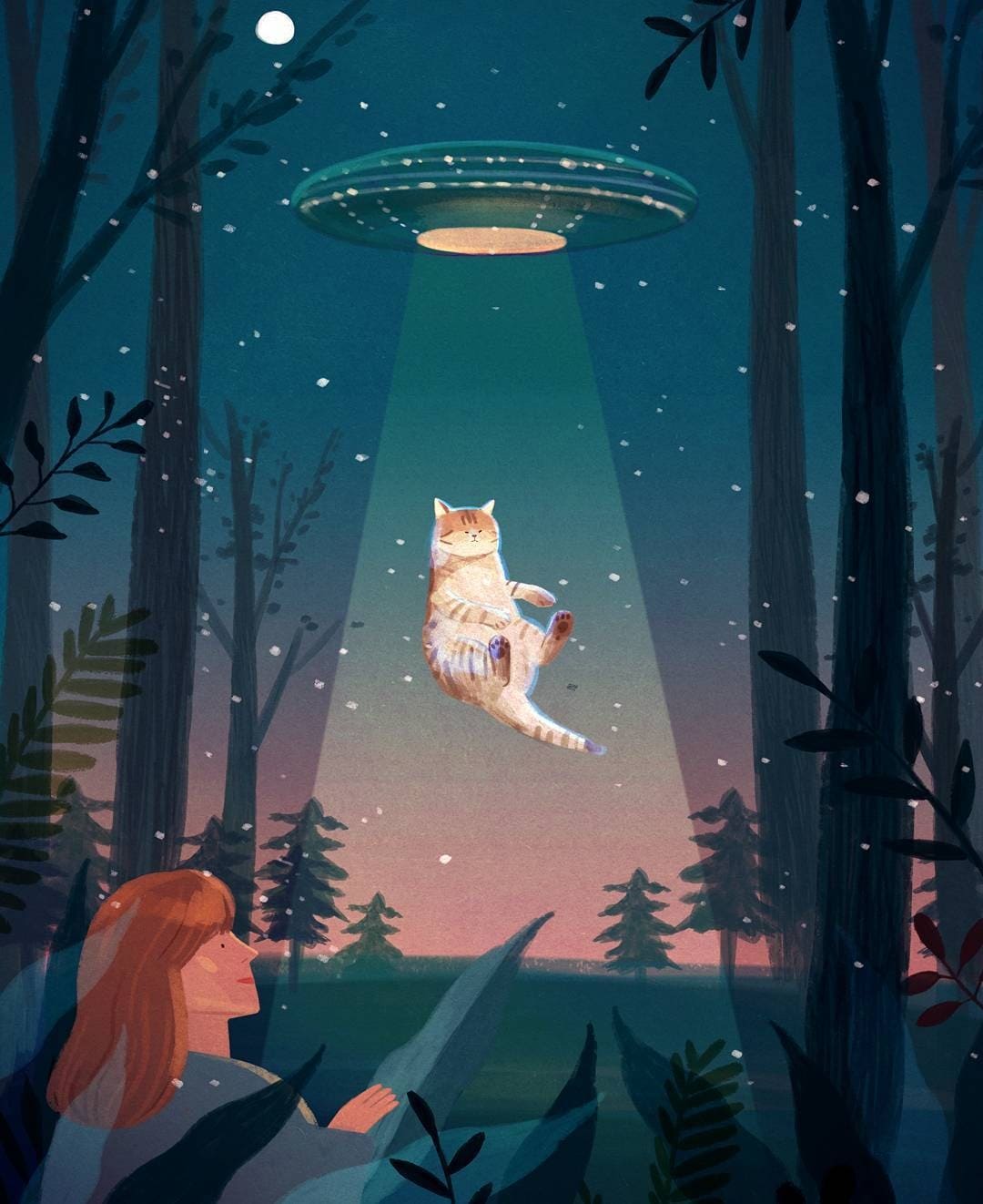 Инопланетное похищение кота