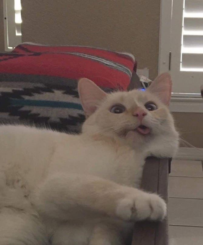 Беленький чудик