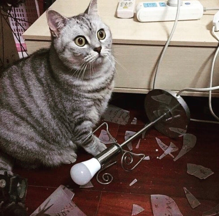 Кто это мог сделать