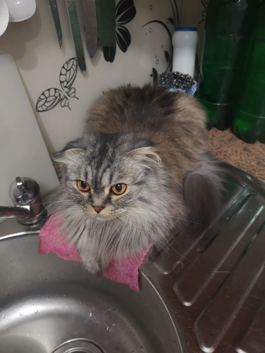 Контроль на мойке