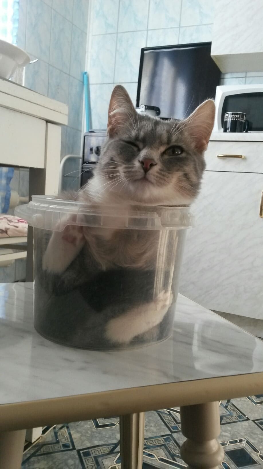 Подмигивающий помощник