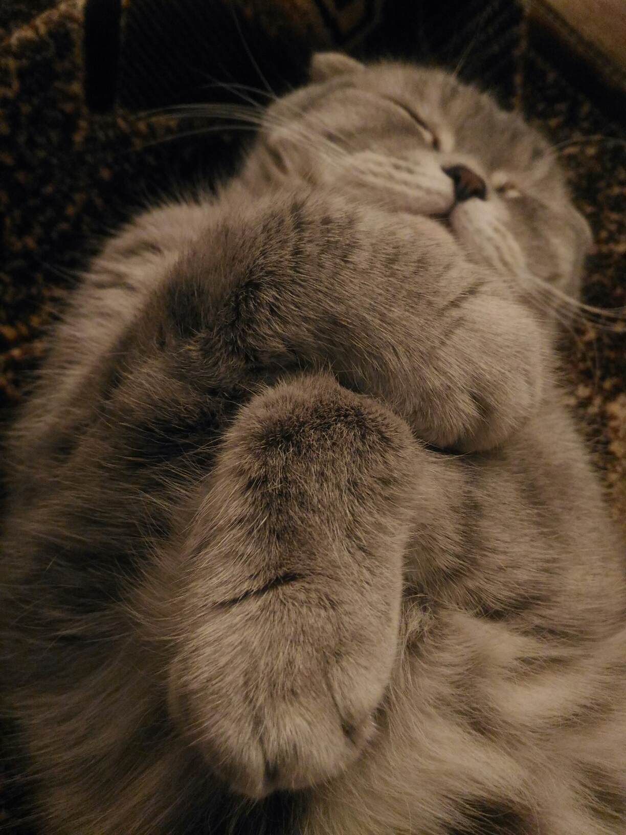 Серенькая красотка обнимает себя