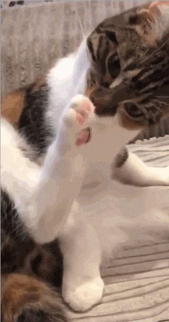 Опять вляпался