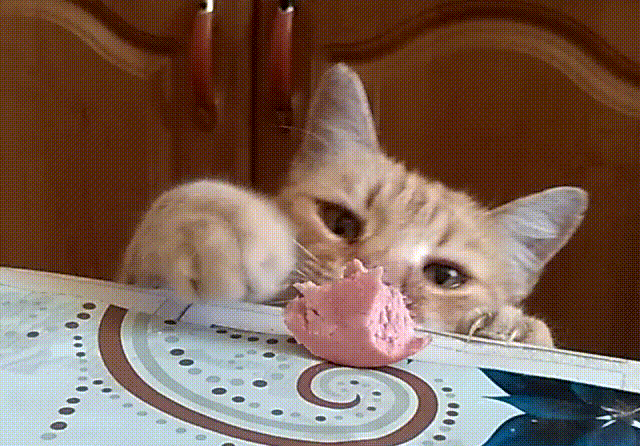 Ловко стащил колбасу