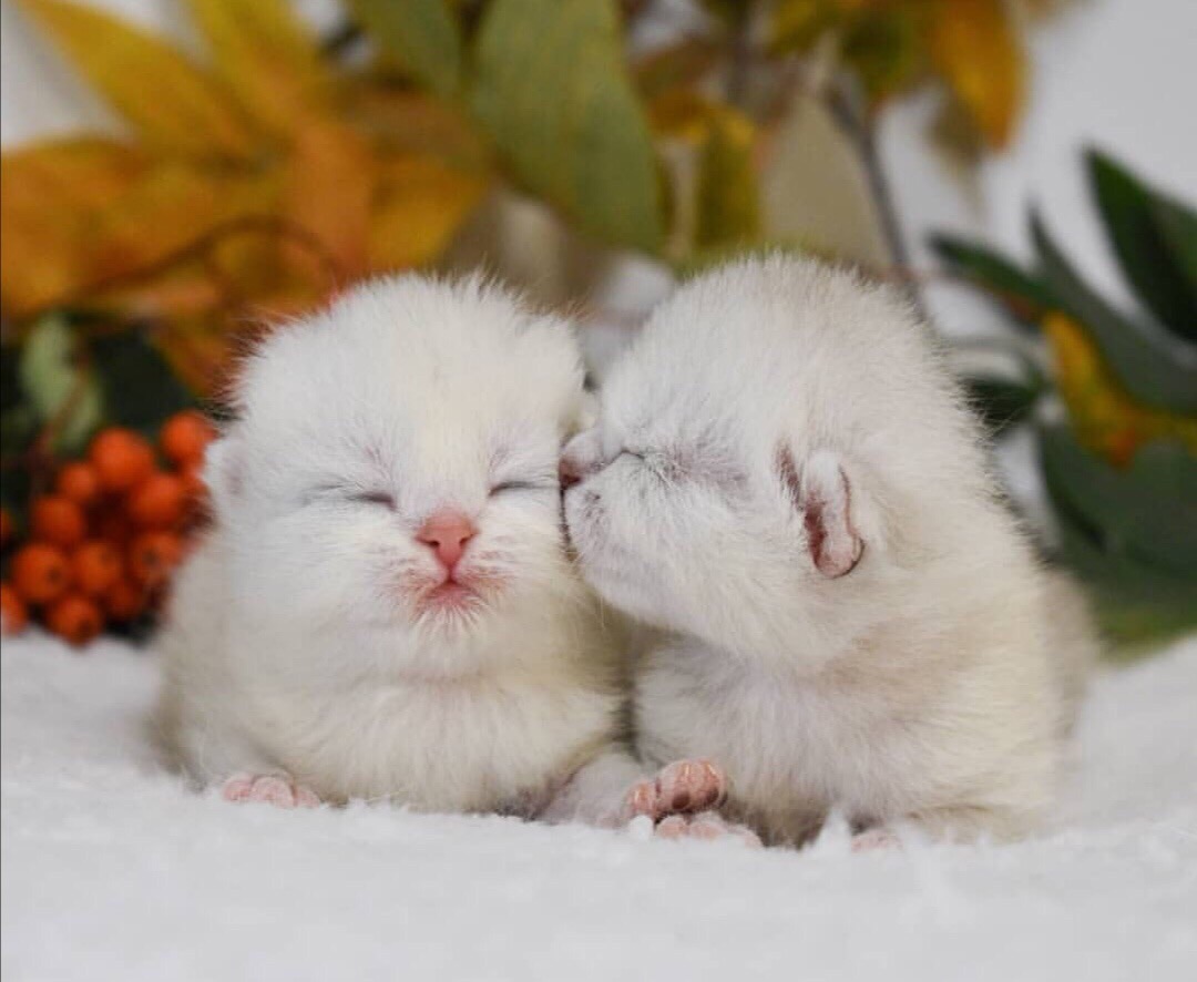 Милые малыши