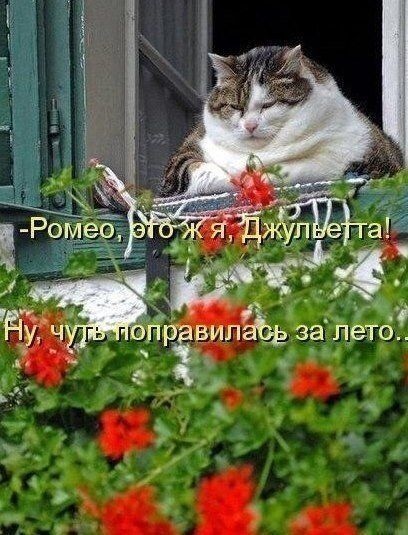 Джульетта поправилась к лету