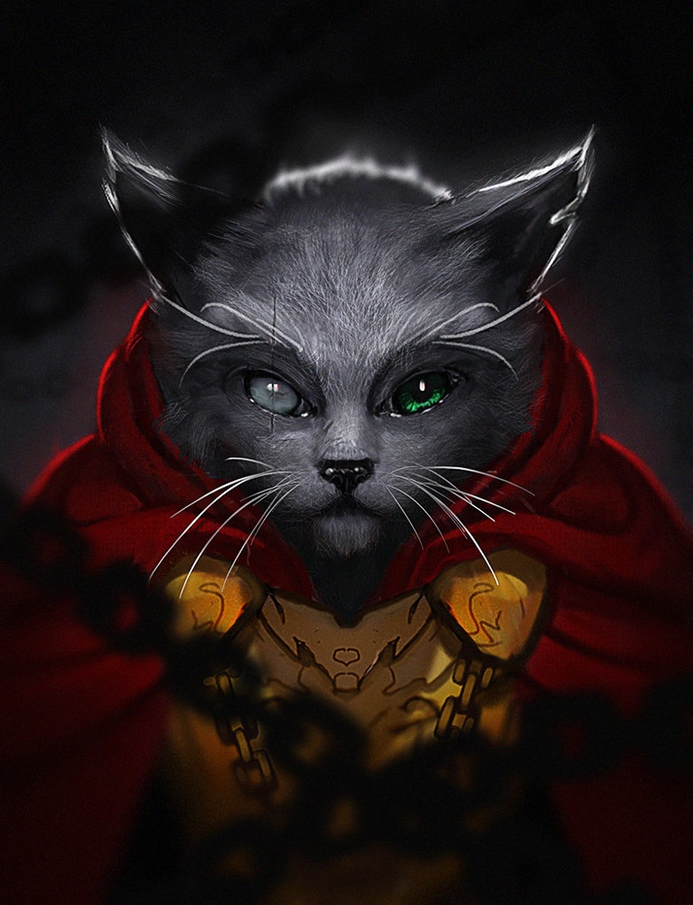 Старый кот в плаще