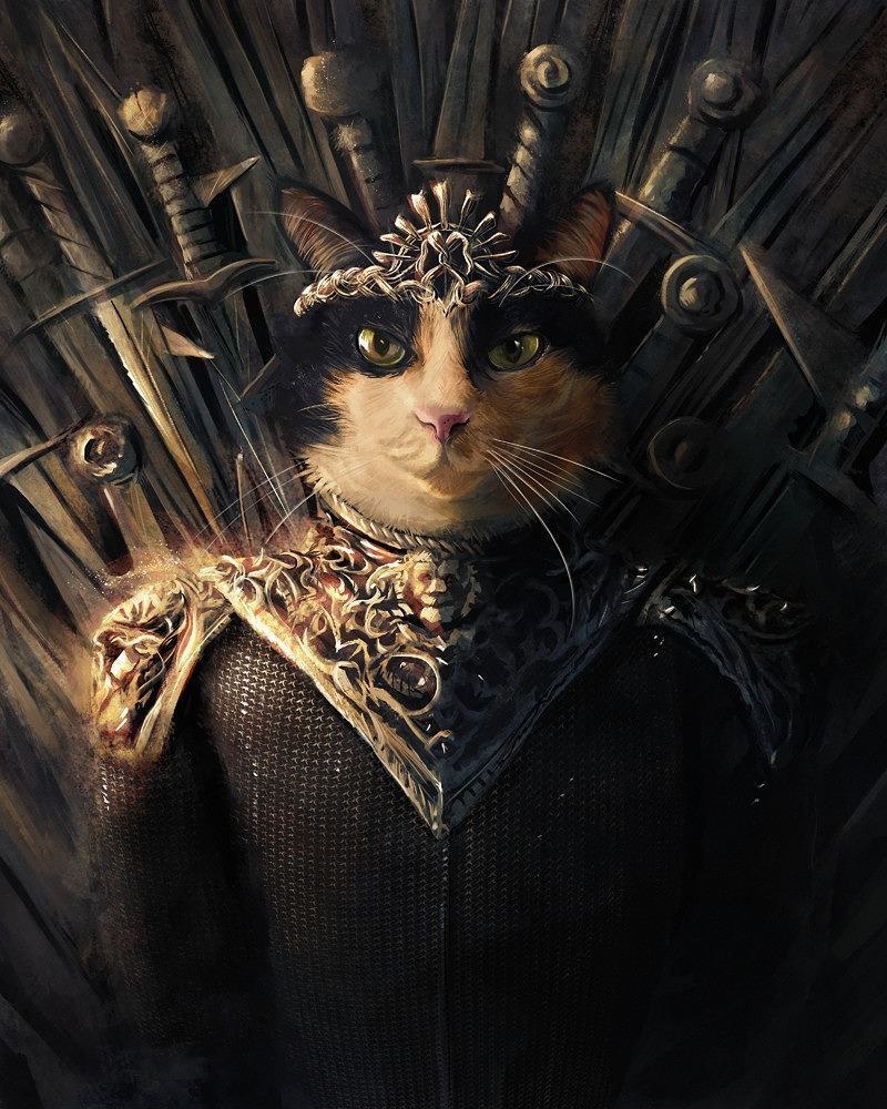 Кот игры престолов