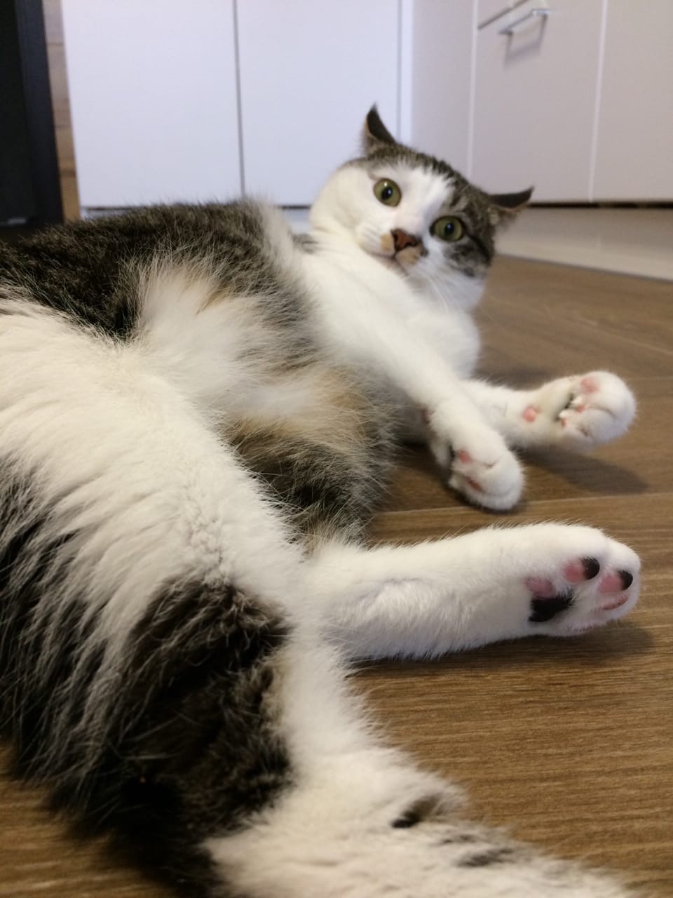 Красотка на полу