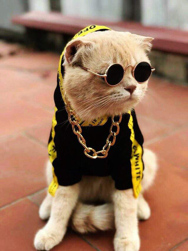 Рыжий рэпер