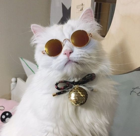 Крутая белоснежка