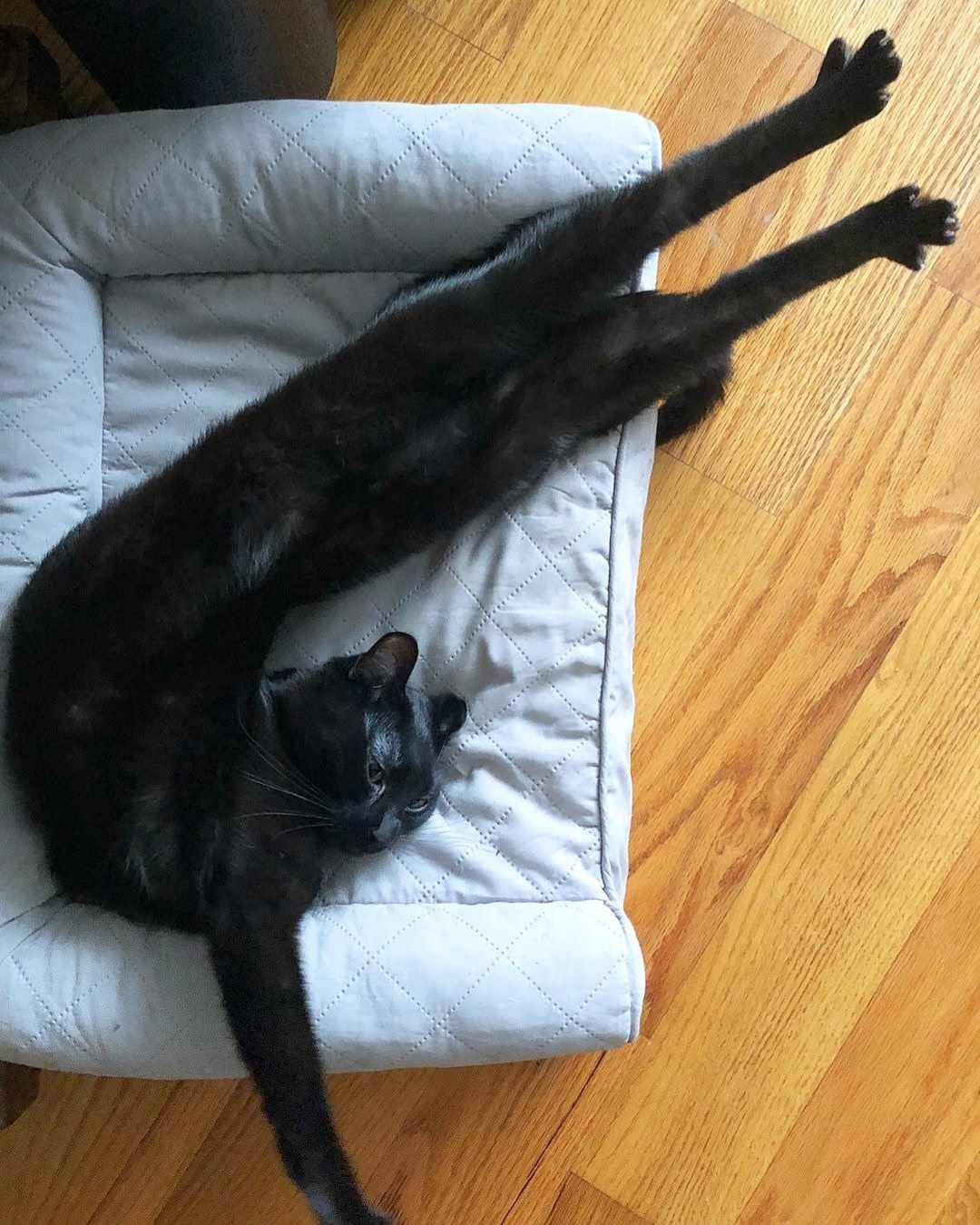 Чёрненький йог